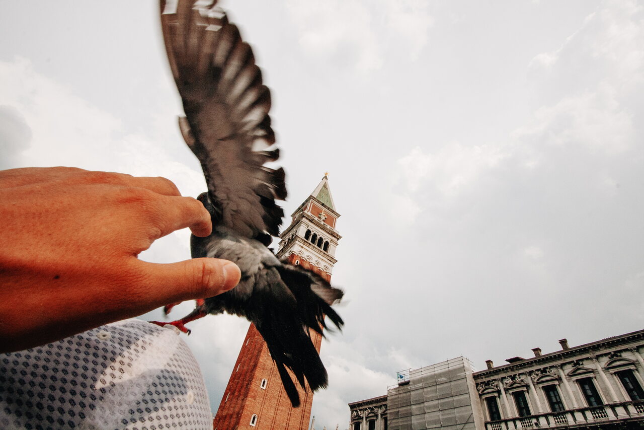 Croacia-Venecia