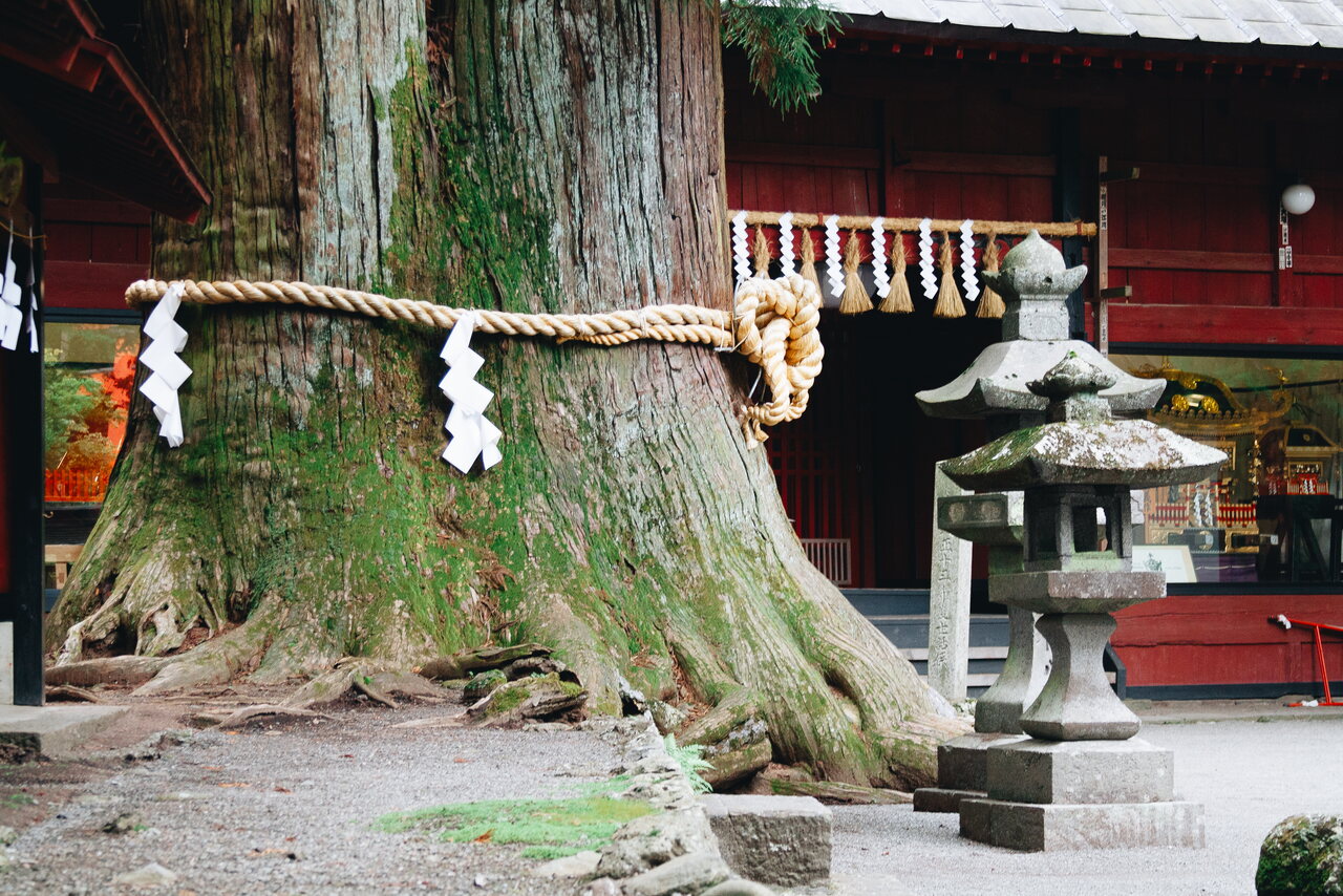 Japón